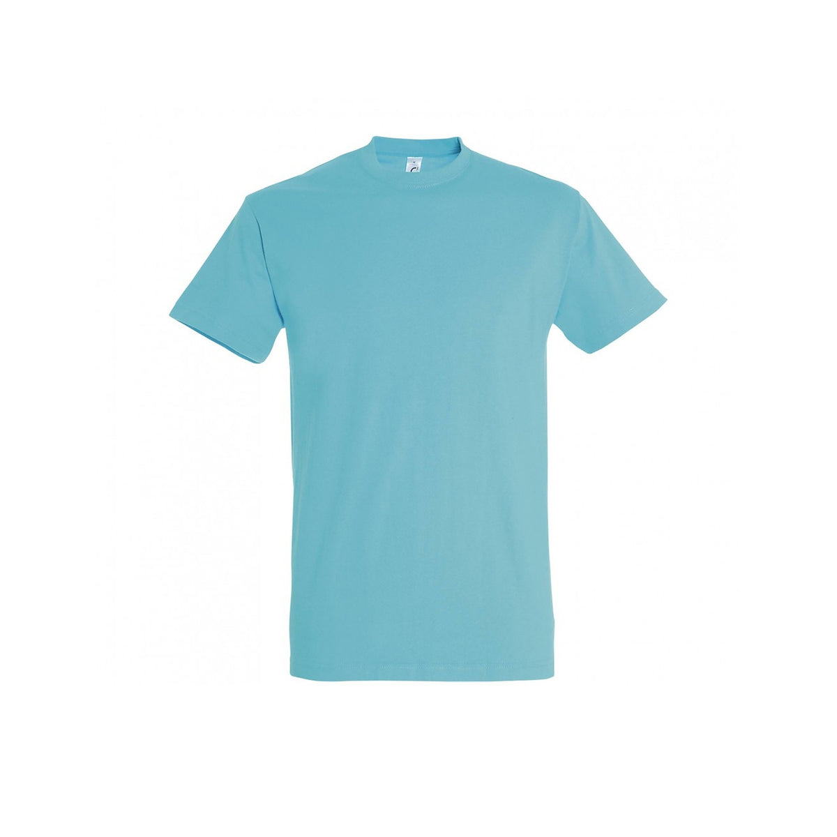 Men's SOL'S Imperial premium T-shirt professional workwear back view